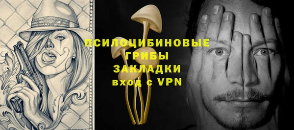 дурь Шадринск
