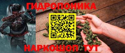 крисы Мариинск