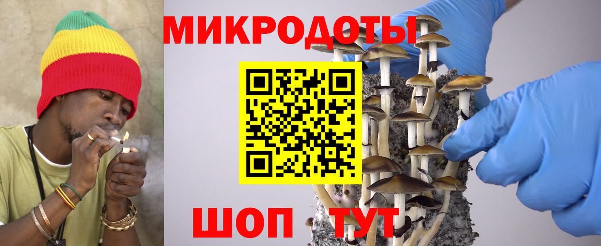 Галлюциногенные грибы Cubensis Воронеж