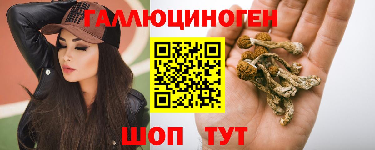 Воронеж  Псилоцибиновые грибы мухоморы  Вход с VPN 